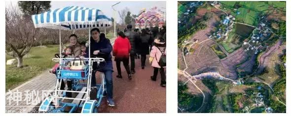 玉兴镇凡龙花千谷第二届民俗赏花节开幕式提前啦！！4月9日我们不见不散！-47.jpg