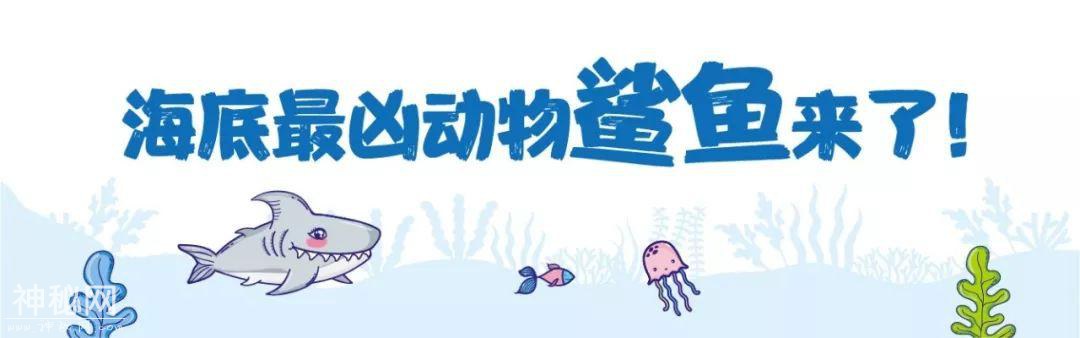 奥体终于有海洋世界了，万只小动物免费领养！-6.jpg