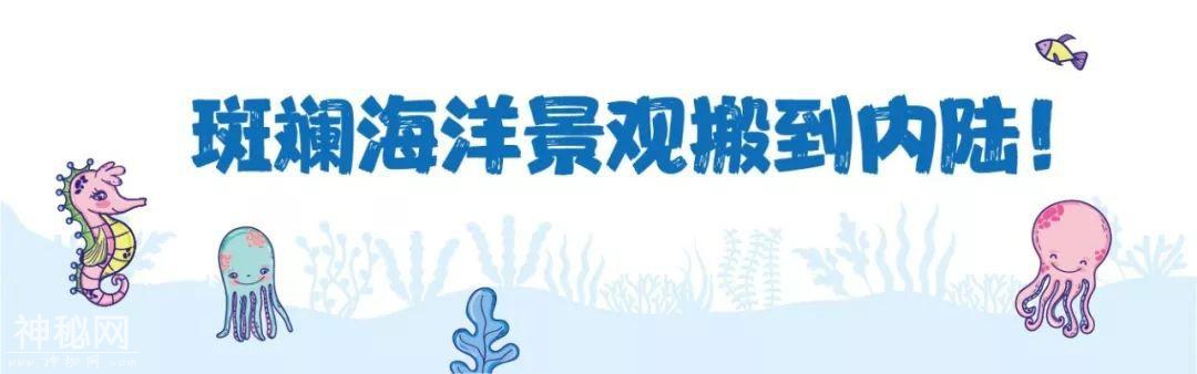 奥体终于有海洋世界了，万只小动物免费领养！-8.jpg