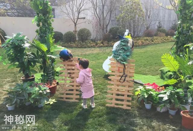 奥体终于有海洋世界了，万只小动物免费领养！-13.jpg