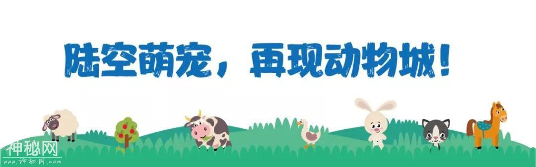 奥体终于有海洋世界了，万只小动物免费领养！-12.jpg