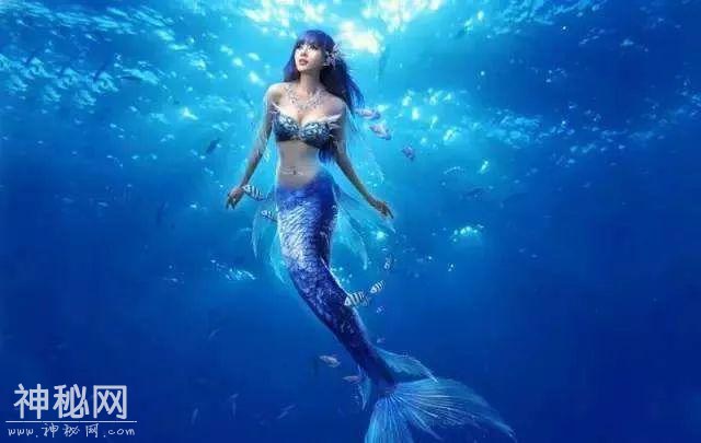 奥体终于有海洋世界了，万只小动物免费领养！-20.jpg