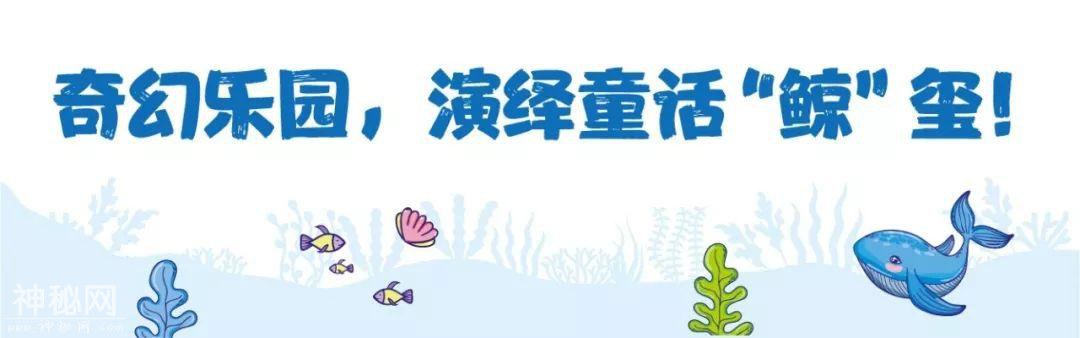 奥体终于有海洋世界了，万只小动物免费领养！-18.jpg