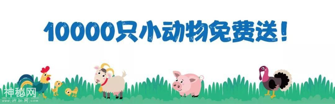 奥体终于有海洋世界了，万只小动物免费领养！-22.jpg