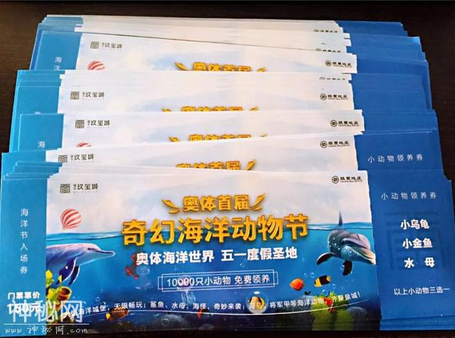 奥体终于有海洋世界了，万只小动物免费领养！-27.jpg