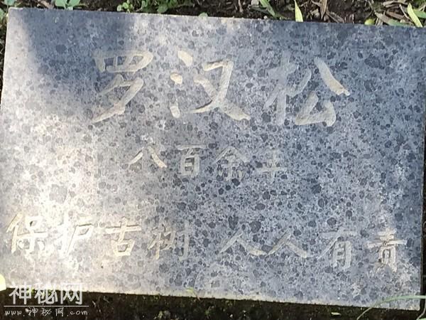 龙虎山之道教篇-34.jpg