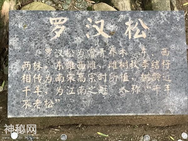龙虎山之道教篇-35.jpg