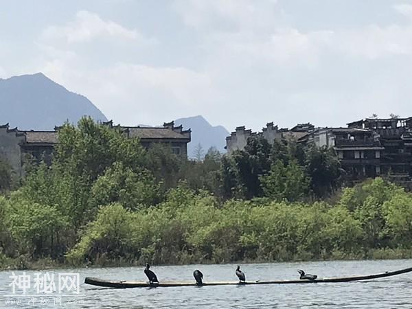 龙虎山之道教篇-59.jpg
