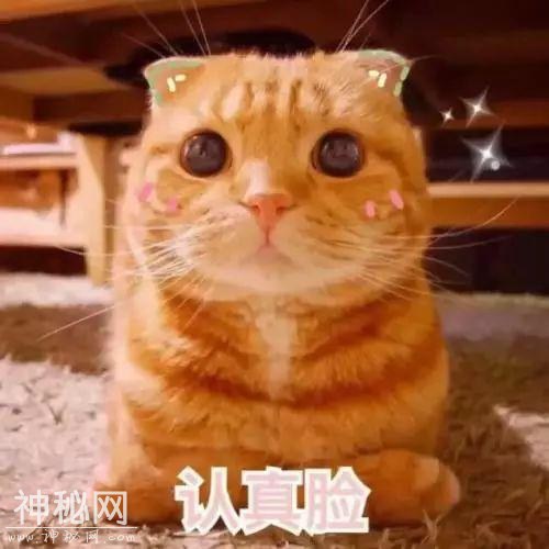 人妻系列之经纪人和大虹老公理发后成功上位暗算正宫的故事！-10.jpg