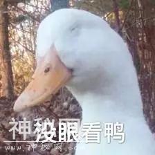 人妻系列之经纪人和大虹老公理发后成功上位暗算正宫的故事！-14.jpg