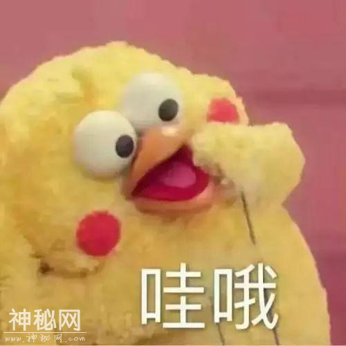人妻系列之经纪人和大虹老公理发后成功上位暗算正宫的故事！-77.jpg