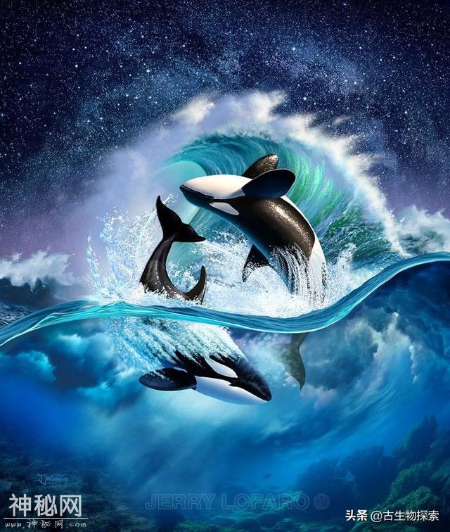 世界地球日：你知道海洋中最聪明的动物是谁吗？-1.jpg
