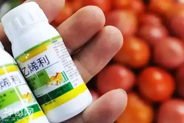 网传“吃香蕉、西瓜、青菜、鱼感染h7n9病毒死亡”系老谣言-7.jpg