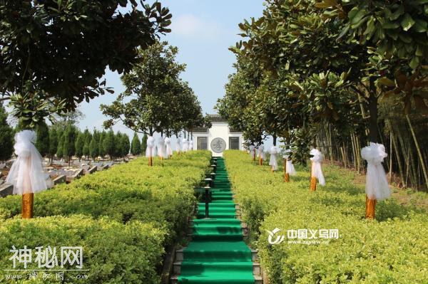 生态葬已成为义乌“新民俗” 年底前将实现全域“无坟化”-6.jpg