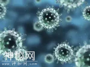 全澳爆发致命感染病毒！大家小心预防哦-14.jpg
