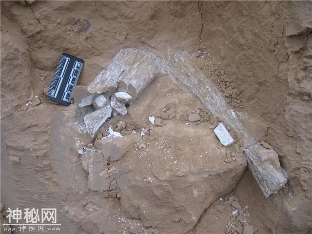 人文丨走近北石窟 解读大庆阳-5.jpg