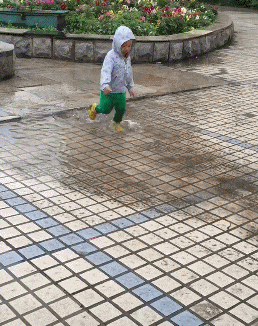 爆笑GIF：按部就班的工作就行了，你非得在老员工面前搞笑吗？-10.jpg
