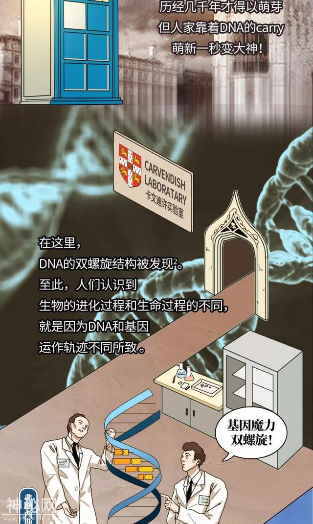 一图看透生物制药的前世今生-4.jpg