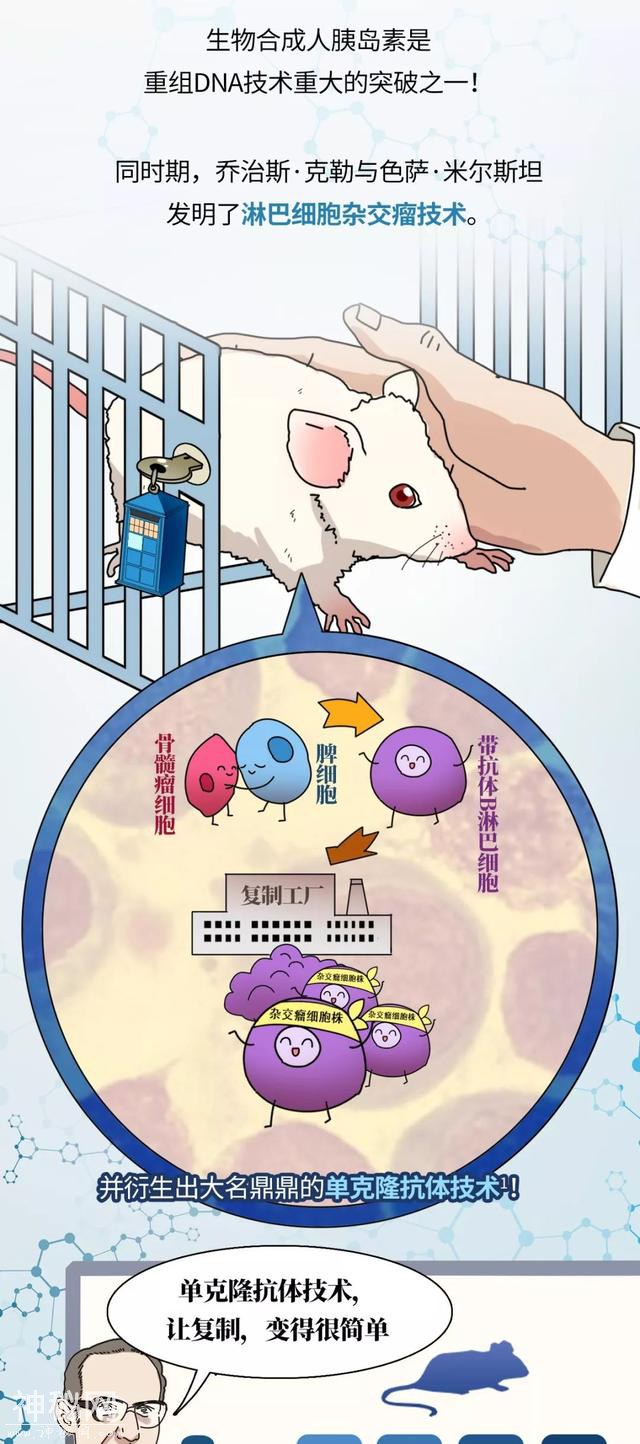 一图看透生物制药的前世今生-8.jpg