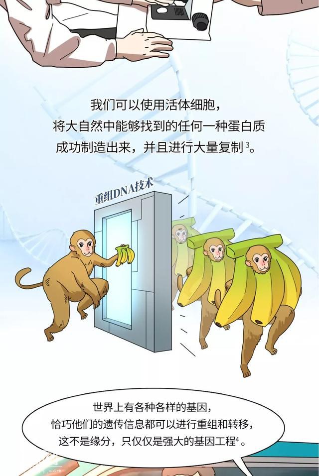 一图看透生物制药的前世今生-6.jpg