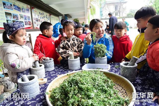 浙江建德：体验清明民俗-2.jpg
