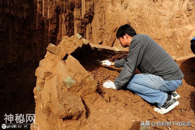 考古意外发现一御奴，主人死后被处死在自己的车上-1.jpg