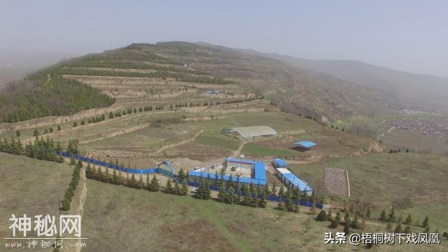 考古意外发现一御奴，主人死后被处死在自己的车上-8.jpg