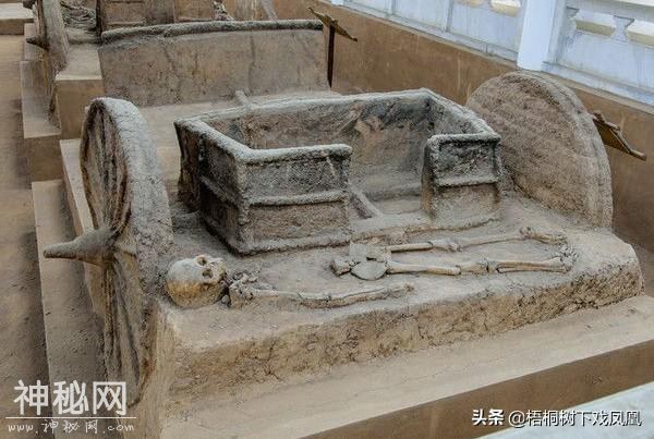 考古意外发现一御奴，主人死后被处死在自己的车上-10.jpg