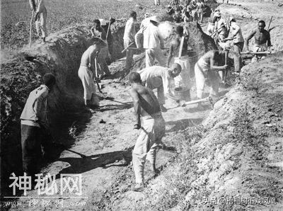 考古意外发现一御奴，主人死后被处死在自己的车上-4.jpg