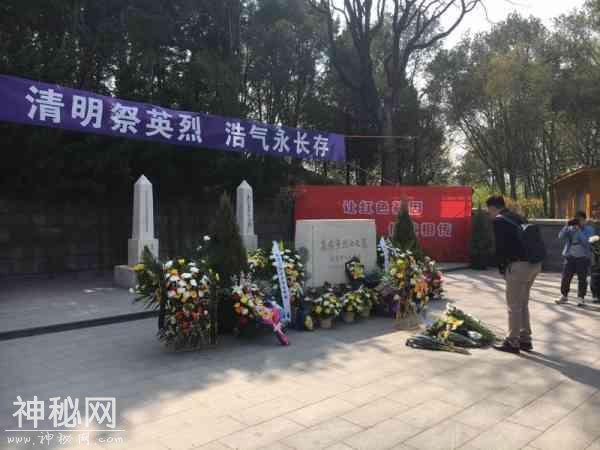 清明缅怀、节日民俗、踏青赏花……陶然亭公园都准备好了！-2.jpg