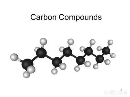 地球生物经过了亿万年的演化，为什么没有进化出抗火的高级能力？-2.jpg