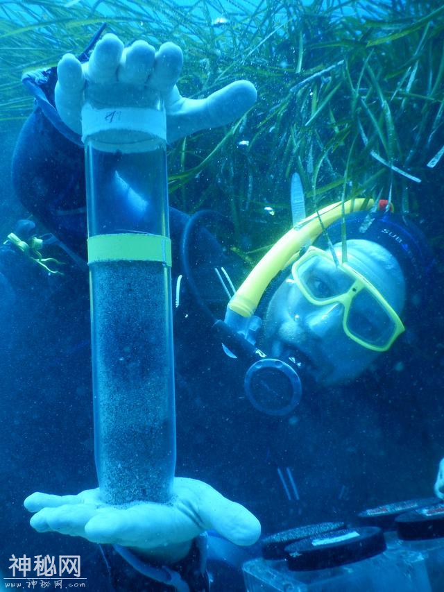 科学揭开神秘生物，没有嘴或肠，但生活超过了5亿年，咋回事？-2.jpg