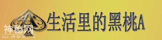 吃完饭的碗要及时洗，如果泡一下洗你猜猜会产生多少细菌，来看看-7.jpg