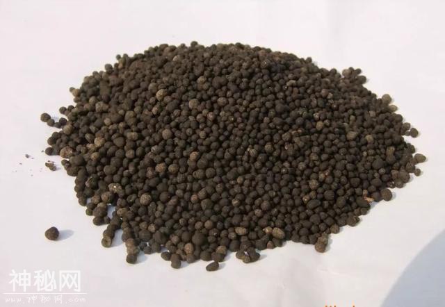 别再上当了，揭穿生物菌肥的这些骗局！-2.jpg