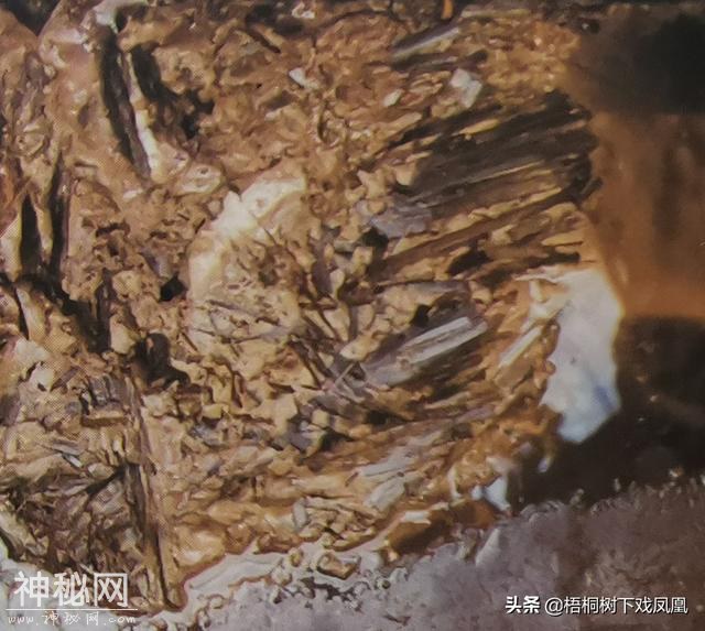 难以想像的考古发现：古代知情盗墓者将下葬不久的女尸拖出棺外-8.jpg