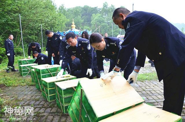 今天，900余只非法运输贩卖的野生动物给予放生！-5.jpg