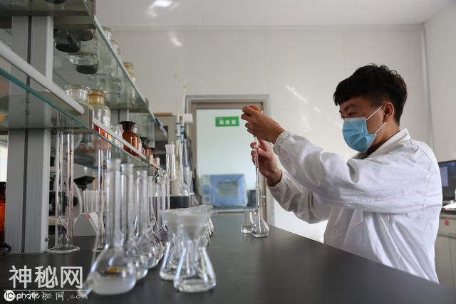 生物有机肥，是好是坏，农民记住这四点，从此假货靠边走！-3.jpg