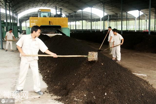 生物有机肥，是好是坏，农民记住这四点，从此假货靠边走！-4.jpg