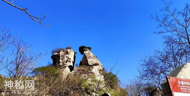 地质公园很多，翠华山则有其独特的地质奇貌和不可或缺的研究价值-8.jpg