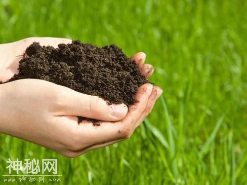 英日科学家首次合成超级抗生素，可以抗击超级细菌与肿瘤。-2.jpg