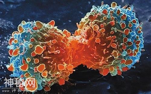 英日科学家首次合成超级抗生素，可以抗击超级细菌与肿瘤。-3.jpg