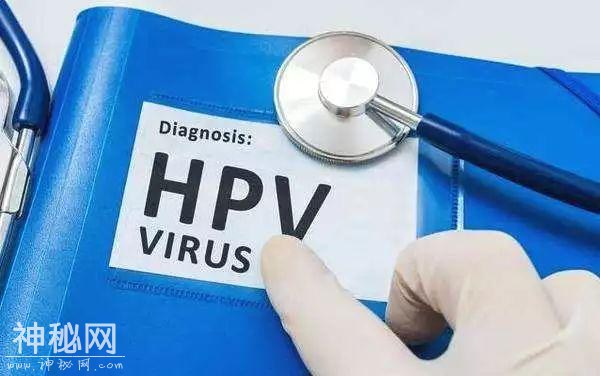 HPV病毒80%的女性有感染风险，它是宫颈癌的“元凶”之一！-2.jpg