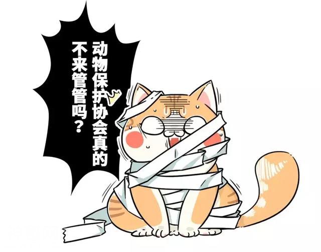 这种神奇生物早在古代就奴役了无数人，连皇帝都为它疯狂！-10.jpg