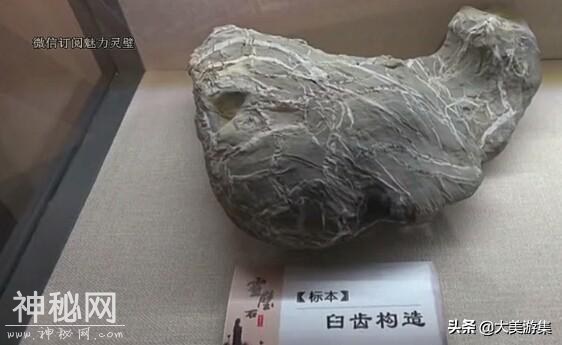 灵璧磬云山国家地质公园博物馆-9.jpg