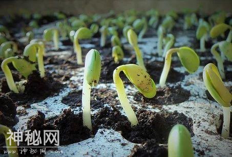 激动！科学家终于找到了全宇宙的第一个化学反应产物!-5.jpg