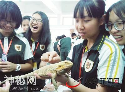 为了让孩子感知自然了解生命 东莞这位生物老师办公室藏着“微型爬宠馆”-2.jpg