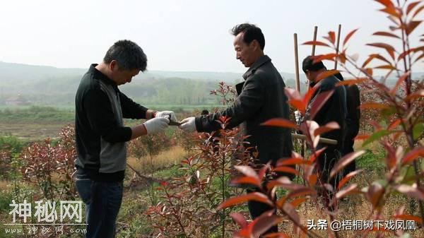 考古发现新型反盗封门设计，盗墓者9盗没得手，进入墓室遇到意外-2.jpg