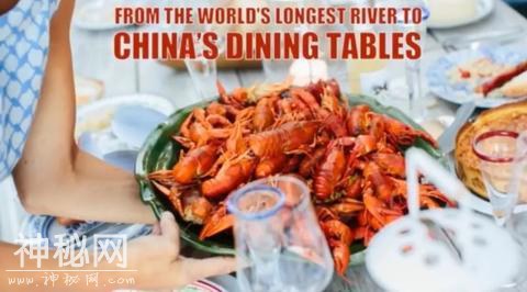 这种愁坏埃及渔民的生物 走上了中国人的餐桌-3.jpg