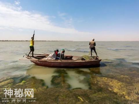 这种愁坏埃及渔民的生物 走上了中国人的餐桌-6.jpg