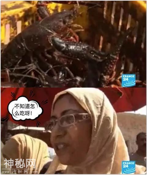 这种愁坏埃及渔民的生物 走上了中国人的餐桌-7.jpg